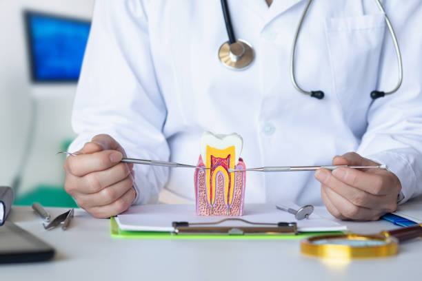 Best Emergency Orthodontic Repairs in Panama, OK